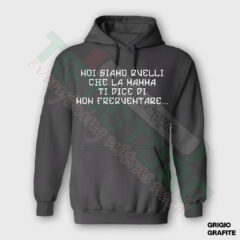 Felpa Con Cappuccio B46